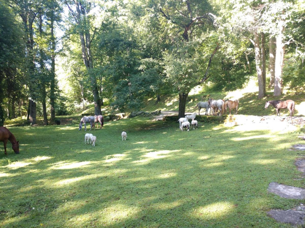 Arrowmont Stables & Cabins Cullowhee Eksteriør billede