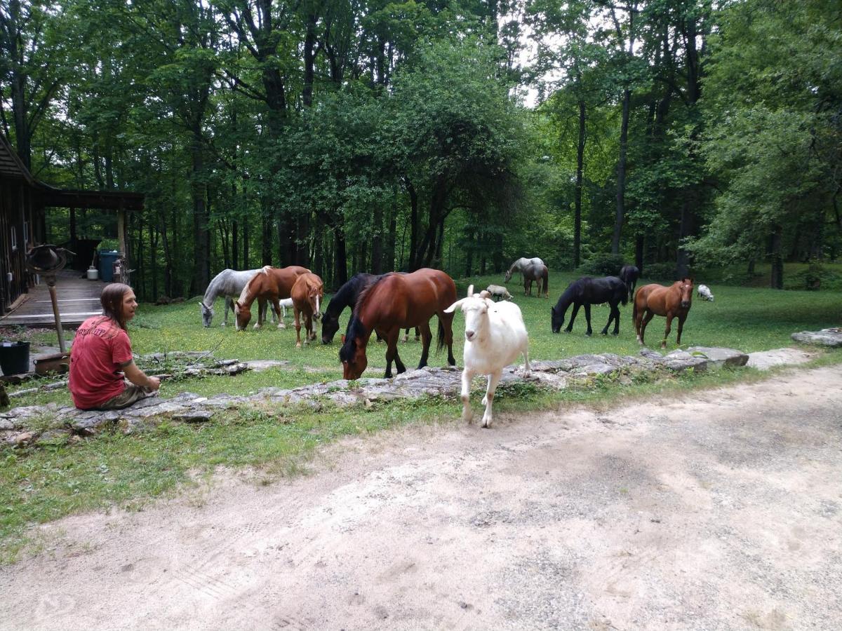 Arrowmont Stables & Cabins Cullowhee Eksteriør billede
